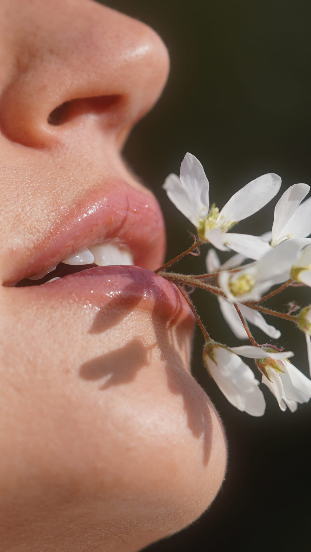 hero background image