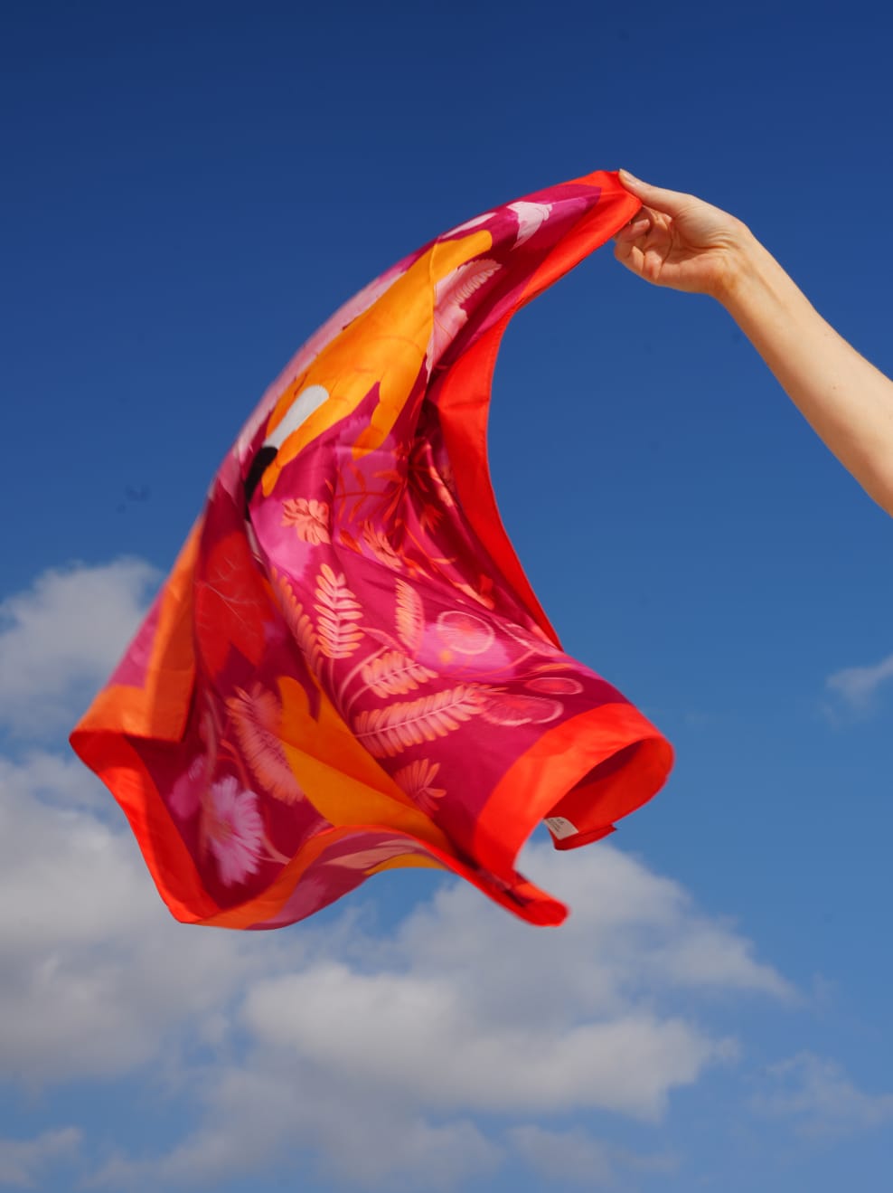 Scarf in Sky
